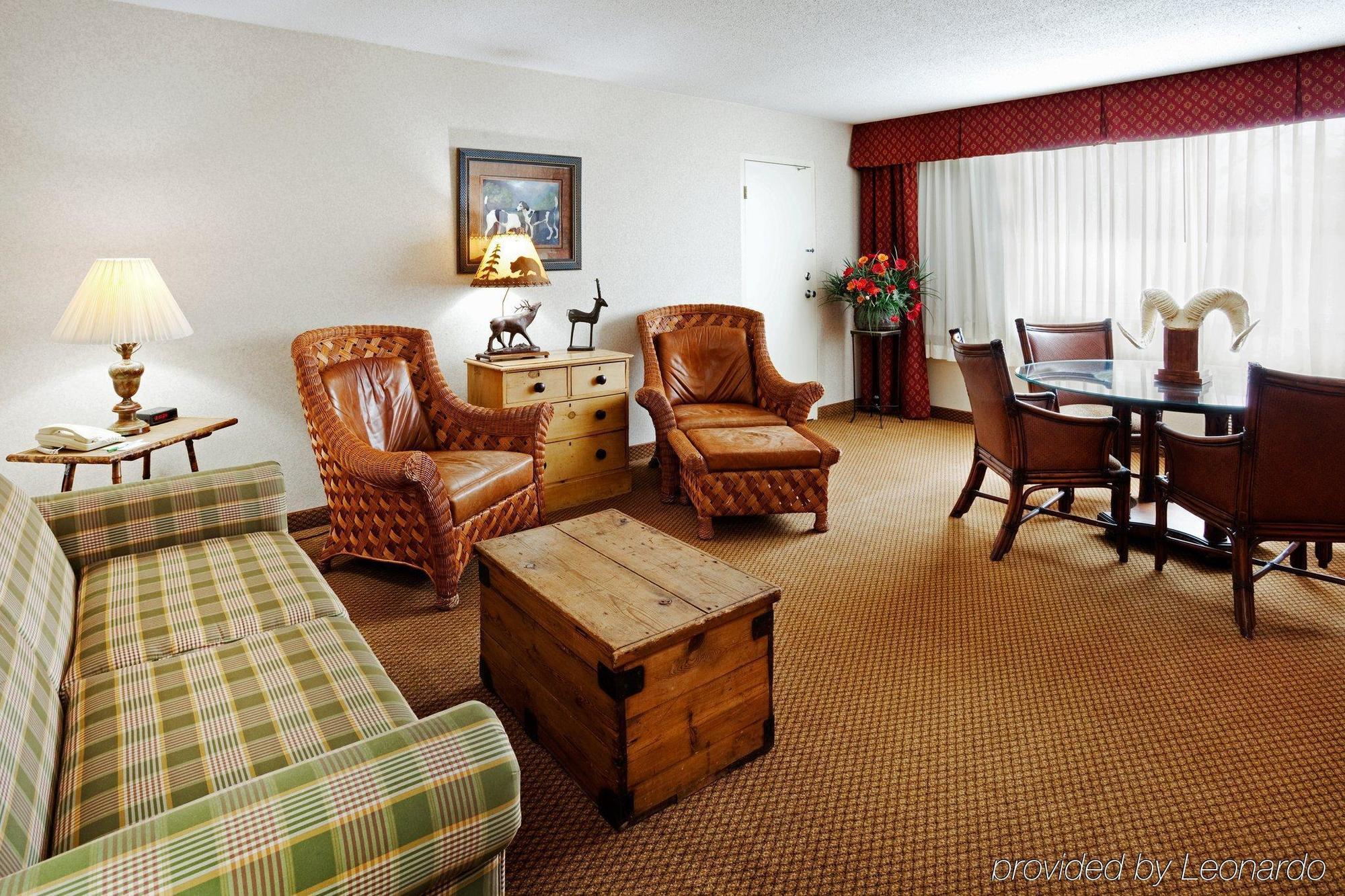 Holiday Inn Asheville East-Blue Ridge Pkwy, An Ihg Hotel Pokój zdjęcie